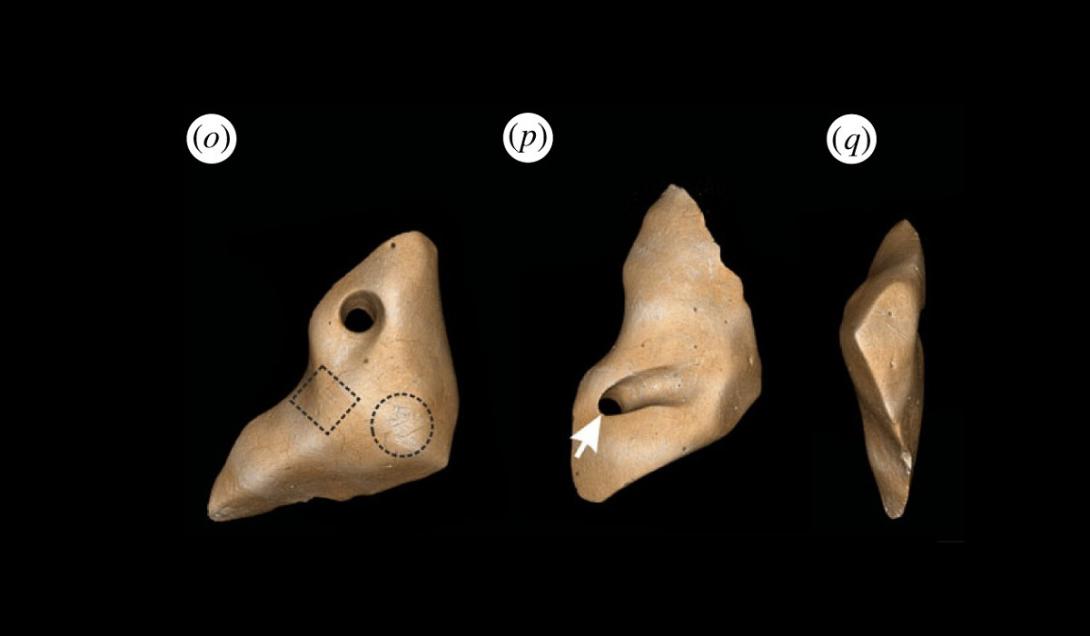 Descoberta Feita No Brasil Indica Que Humanos Chegaram Nas Am Ricas